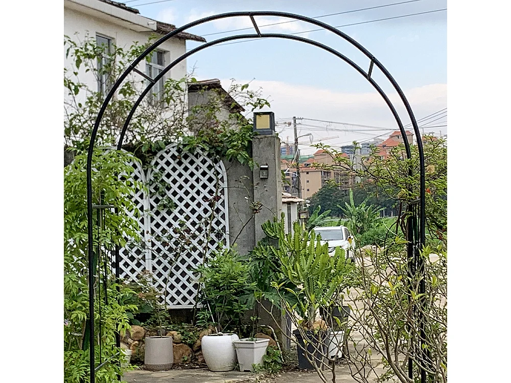Arche jardin treillis plantes grimpantes avec portail arche métal durable extérieur mariage cérémonie fête plantes roses grimpantes pelouse cour noir