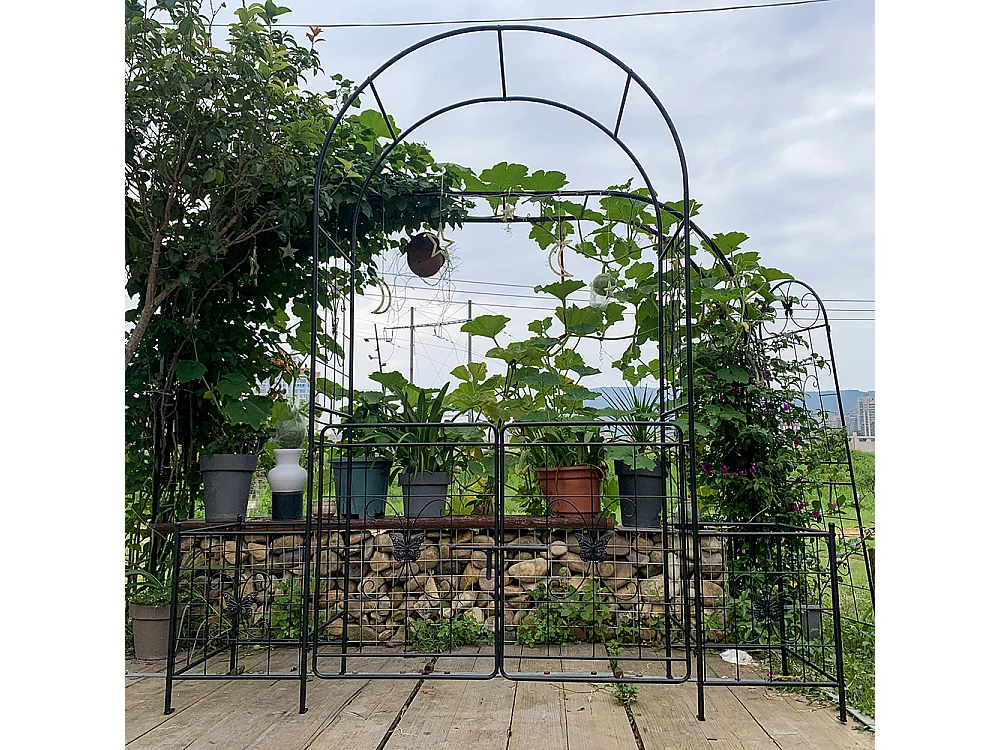 Arche jardin treillis plantes grimpantes avec portail arche métal durable extérieur mariage cérémonie fête plantes roses grimpantes pelouse cour noir