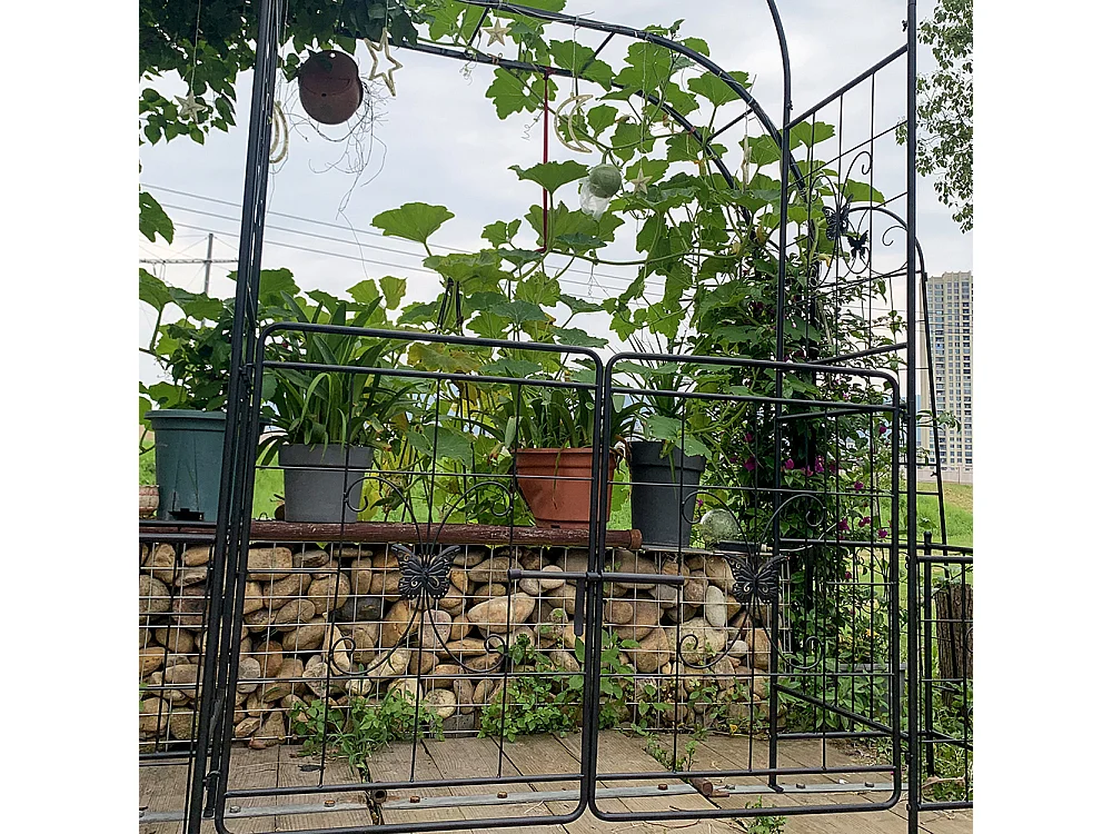 Arche jardin treillis plantes grimpantes avec portail arche métal durable extérieur mariage cérémonie fête plantes roses grimpantes pelouse cour noir