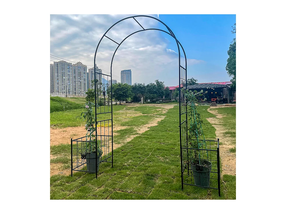 Arche jardin treillis plantes grimpantes arche métal durable extérieur mariage cérémonie fête plantes roses grimpantes pelouse cour noir