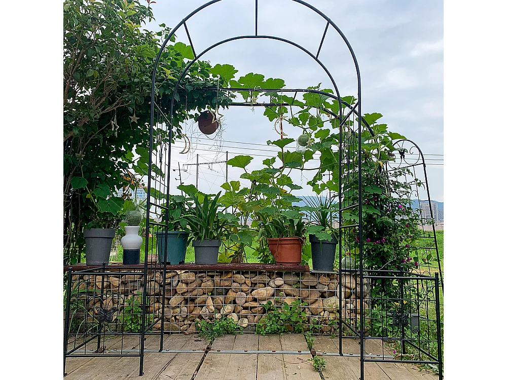 Arche jardin treillis plantes grimpantes arche métal durable extérieur mariage cérémonie fête plantes roses grimpantes pelouse cour noir