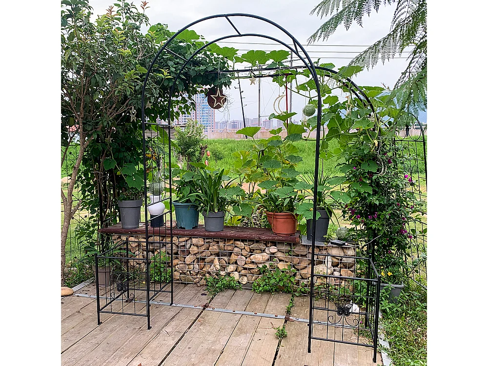 Arche jardin treillis plantes grimpantes arche métal durable extérieur mariage cérémonie fête plantes roses grimpantes pelouse cour noir