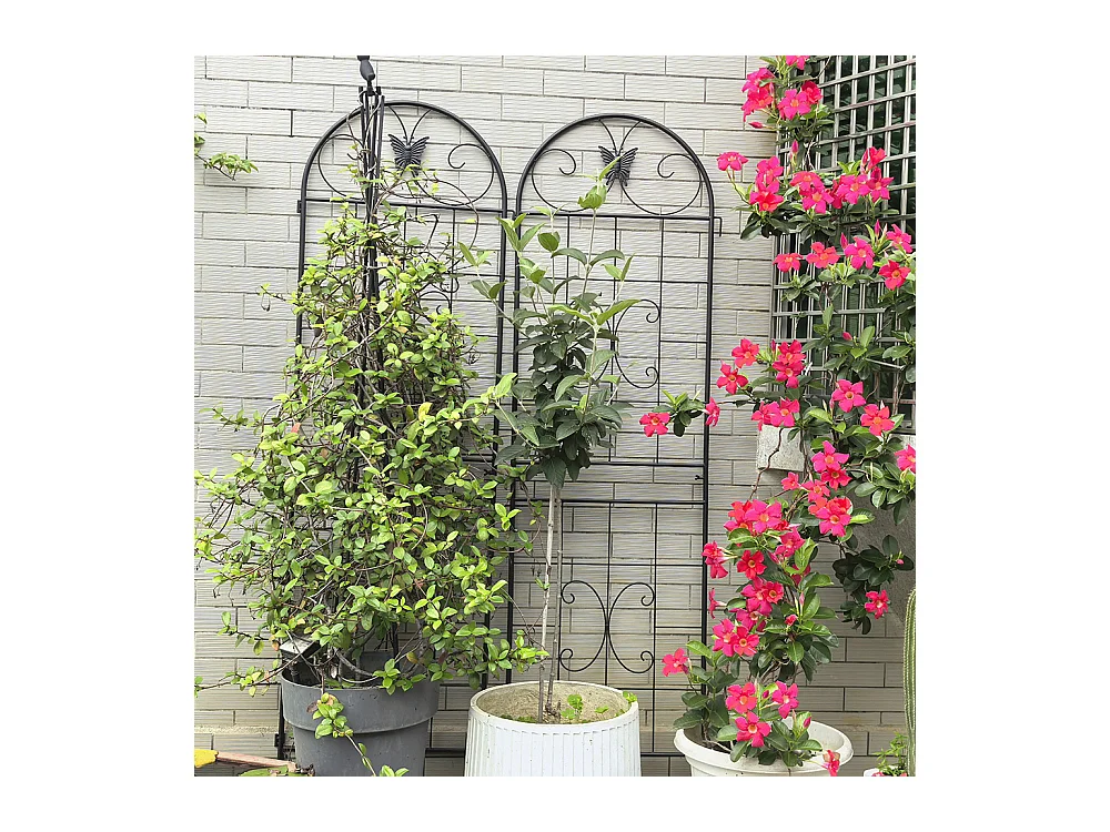 Treillis jardin métal lot de 2 treillis métalliques plantes grimpantes intérieur extérieur plantes en pot décoratif clôture