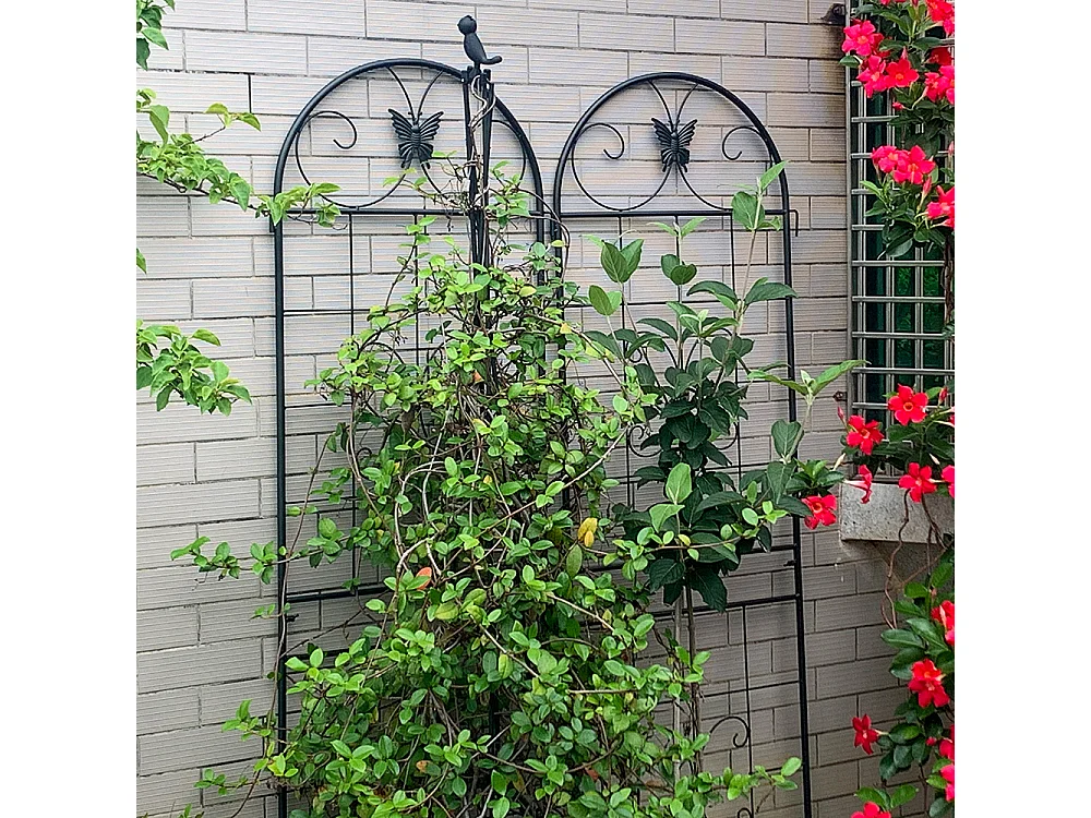Treillis jardin métal lot de 2 treillis métalliques plantes grimpantes intérieur extérieur plantes en pot décoratif clôture