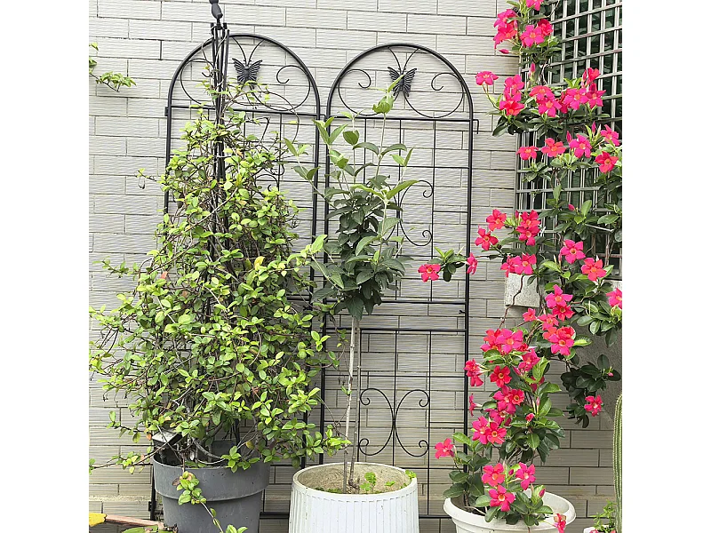 Treillis jardin métal lot de 2 treillis métalliques plantes grimpantes intérieur extérieur plantes en pot décoratif clôture
