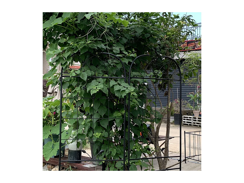 Grillage métallique jardin 2 paquets grillage plantes grimpantes intérieur extérieur plantes en pot plantes dintérieur décoratif clôture