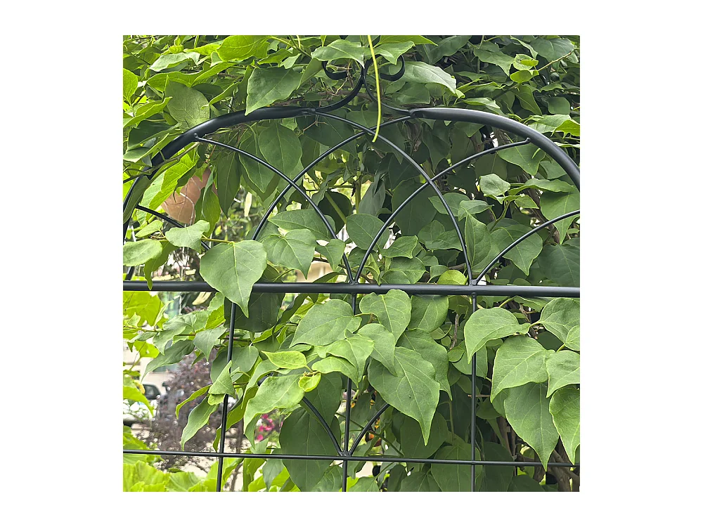 Grillage métallique jardin 2 paquets grillage plantes grimpantes intérieur extérieur plantes en pot plantes dintérieur décoratif clôture