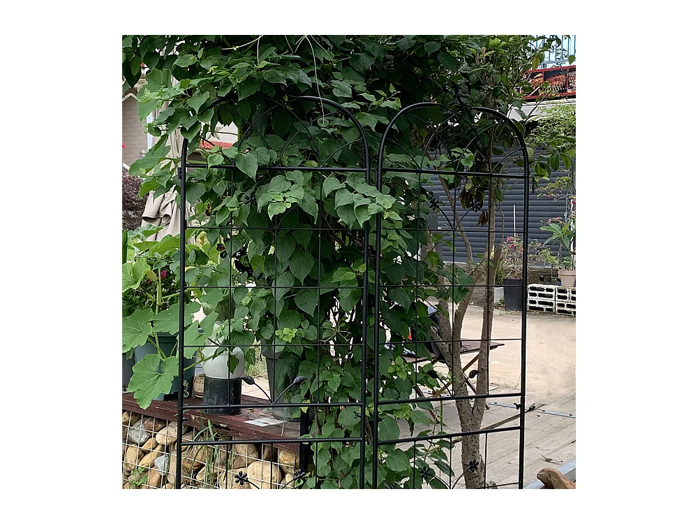 Grillage métallique jardin 2 paquets grillage plantes grimpantes intérieur extérieur plantes en pot plantes dintérieur décoratif clôture