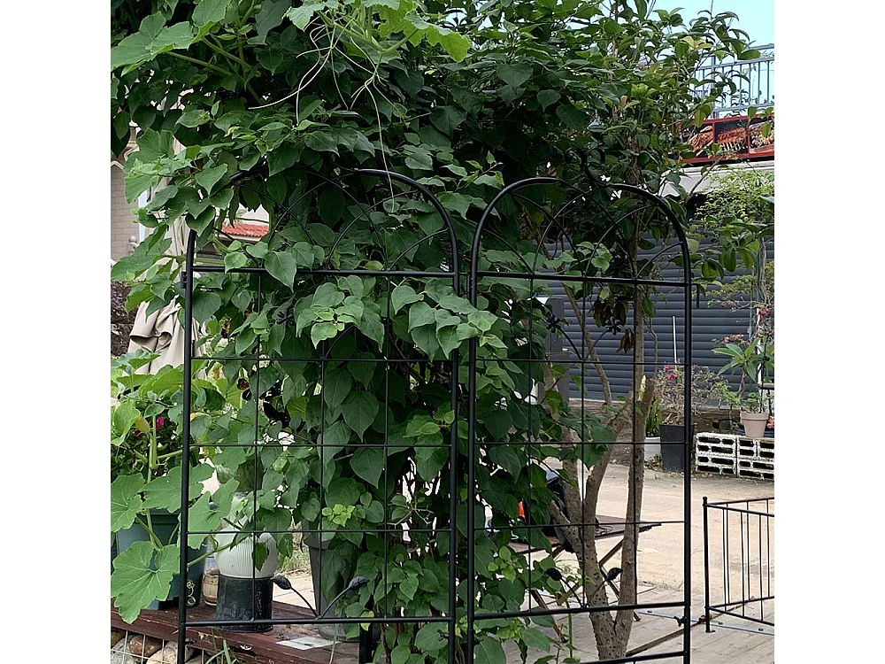 Grillage métallique jardin 2 paquets grillage plantes grimpantes intérieur extérieur plantes en pot plantes dintérieur décoratif clôture