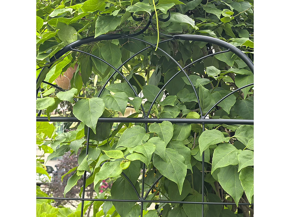 Grillage métallique jardin 2 paquets grillage plantes grimpantes intérieur extérieur plantes en pot plantes dintérieur décoratif clôture