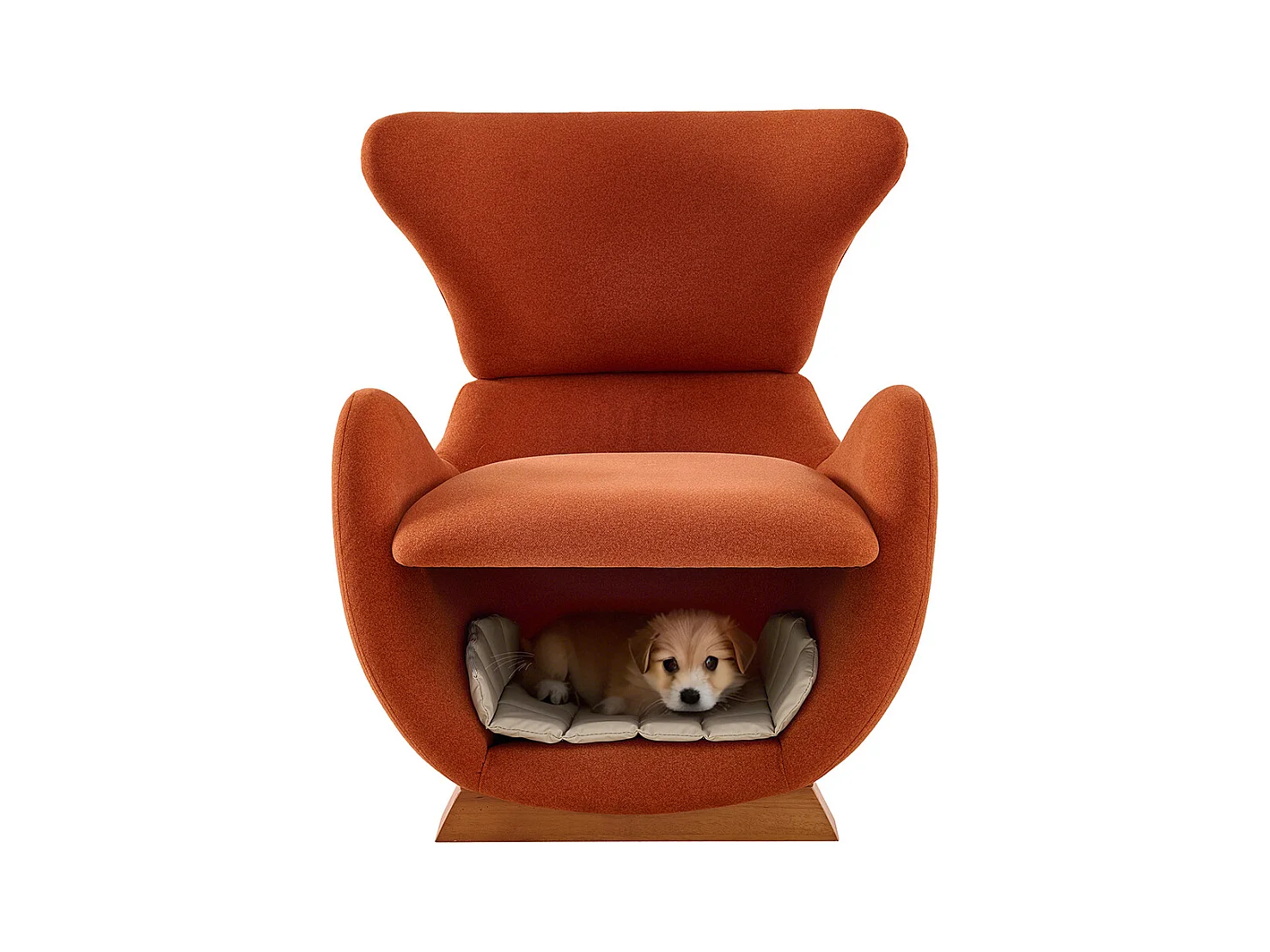 Fauteuil lounge design requin baleine adapté animaux refuge chats petits chiens tissu antigriffes canapé individuel TV salon