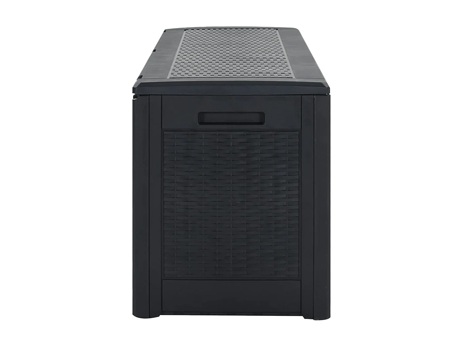 Boîte de stockage jardin Anthracite 119x48x60 cm Polypropylène