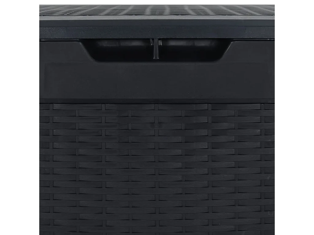 Boîte de stockage jardin Anthracite 119x48x60 cm Polypropylène