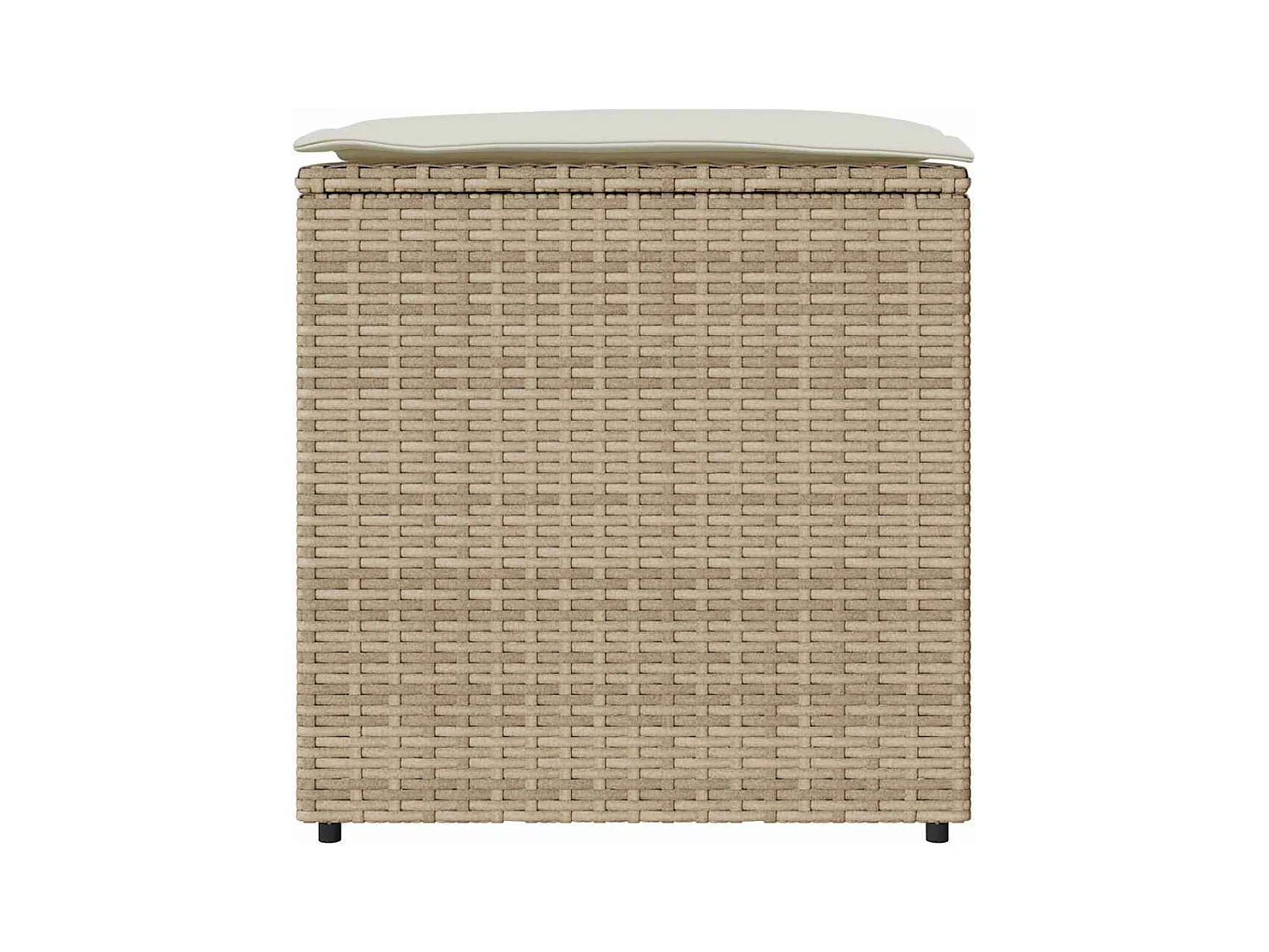 Boîte de Rangement Beige et crème Effet rotin, coussin en polyester