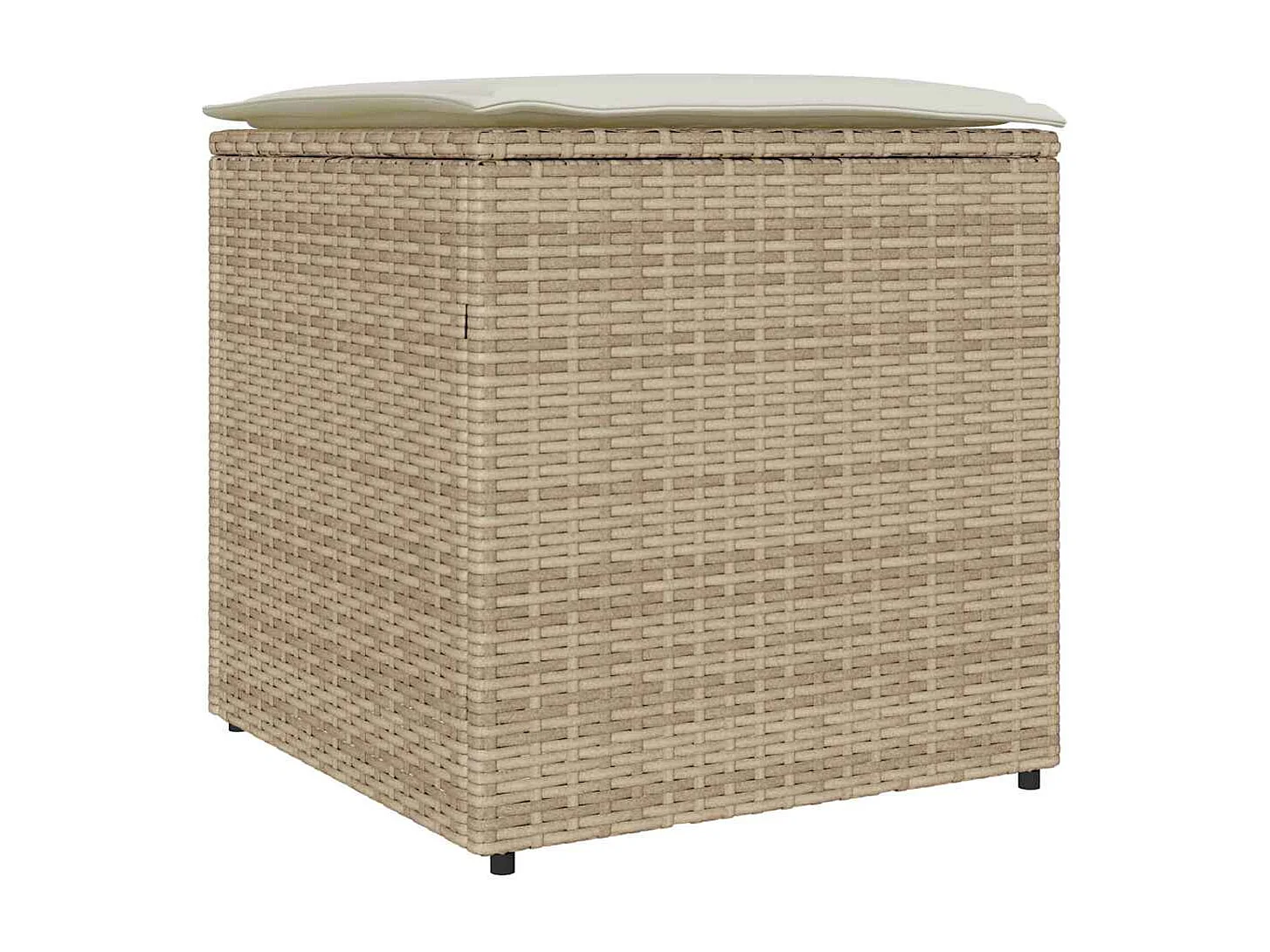 Boîte de Rangement Beige et crème Effet rotin, coussin en polyester