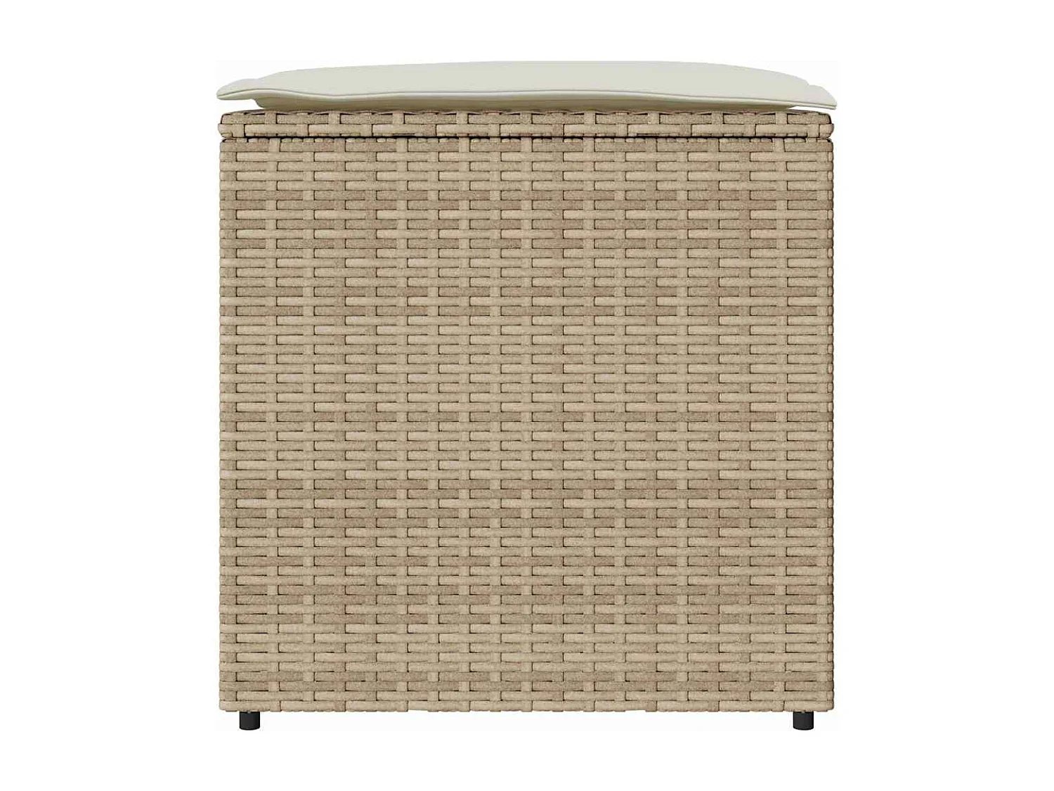 Boîte de Rangement Beige et crème Effet rotin, coussin en polyester