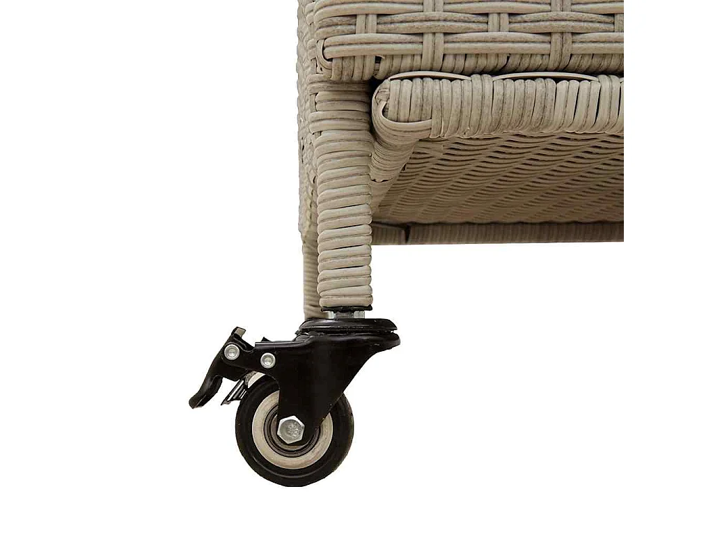 Boîte de rangement de jardin et roues gris clair résine tressée