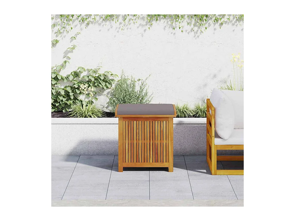 Boîte à coussins d'extérieur 60x50x61 cm bois massif d'acacia