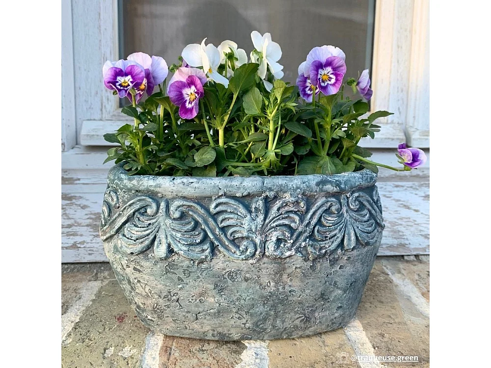 Jardinière ovale en ciment vieilli bleuté L.19 x l.11 x Ht.11cm