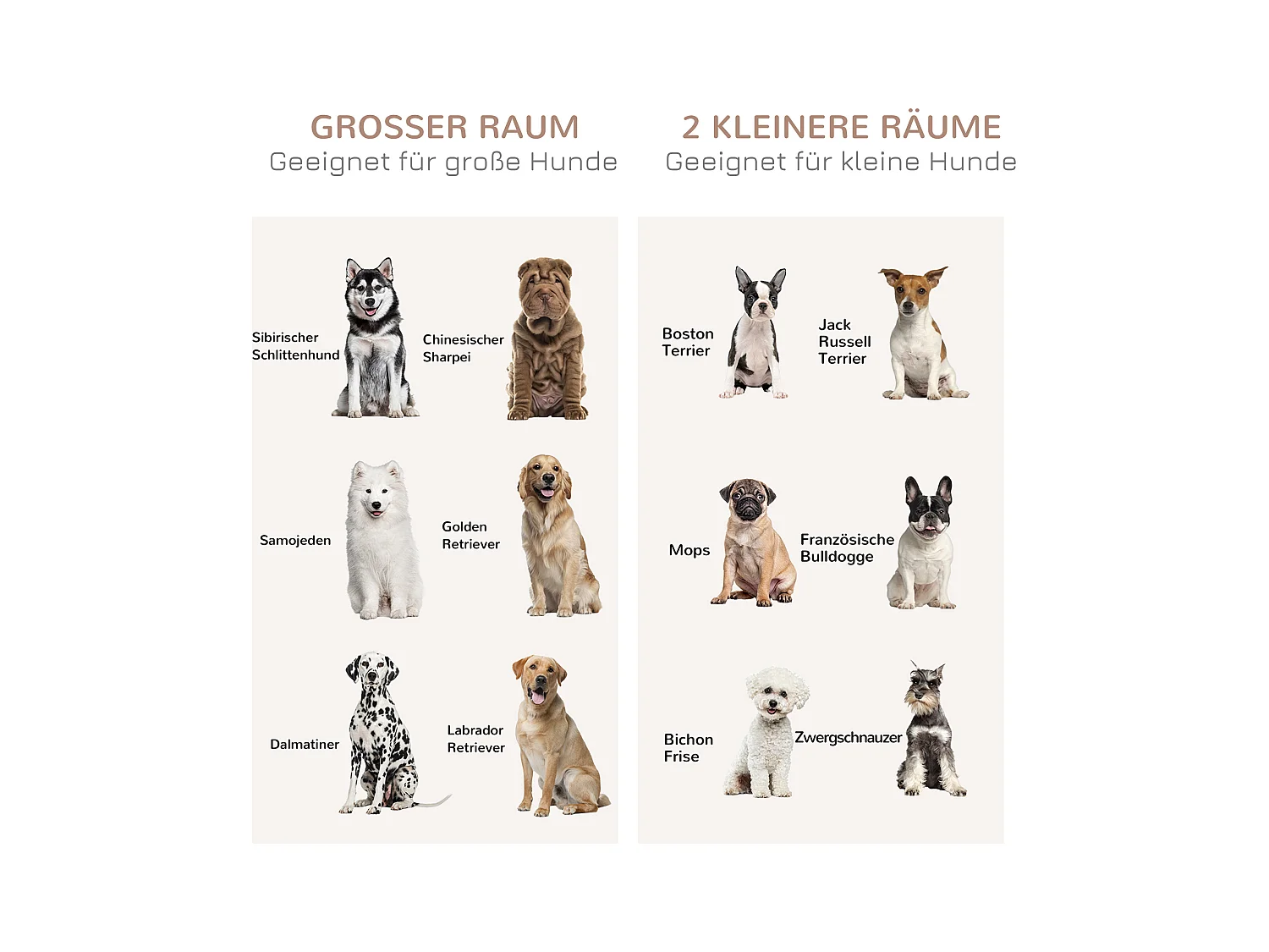 Hondenbench met twee compartimenten, rustiek design, hout, wit, met dubbele deur (120x60x88,5 cm)