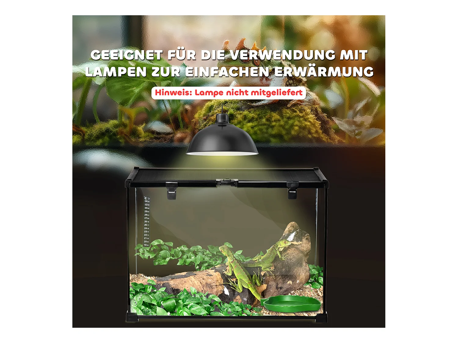 Terrarium en verre sécurisé pour reptiles avec structure métallique, noir (50x30x35cm)