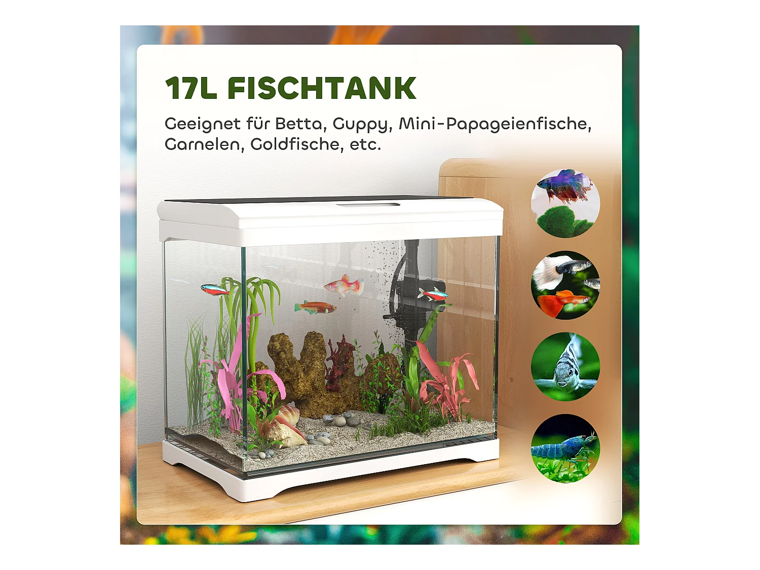 Aquarium tropical avec éclairage LED et système de filtration, verre, blanc (35x21x31cm)