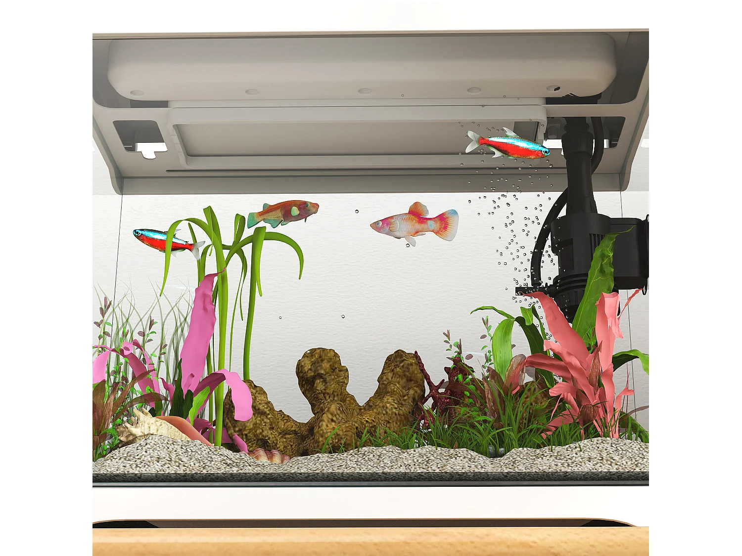 Aquarium tropical avec éclairage LED et système de filtration, verre, blanc (35x21x31cm)