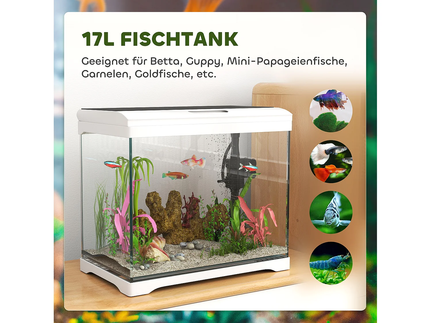 Aquarium tropical avec éclairage LED et système de filtration, verre, blanc (35x21x31cm)