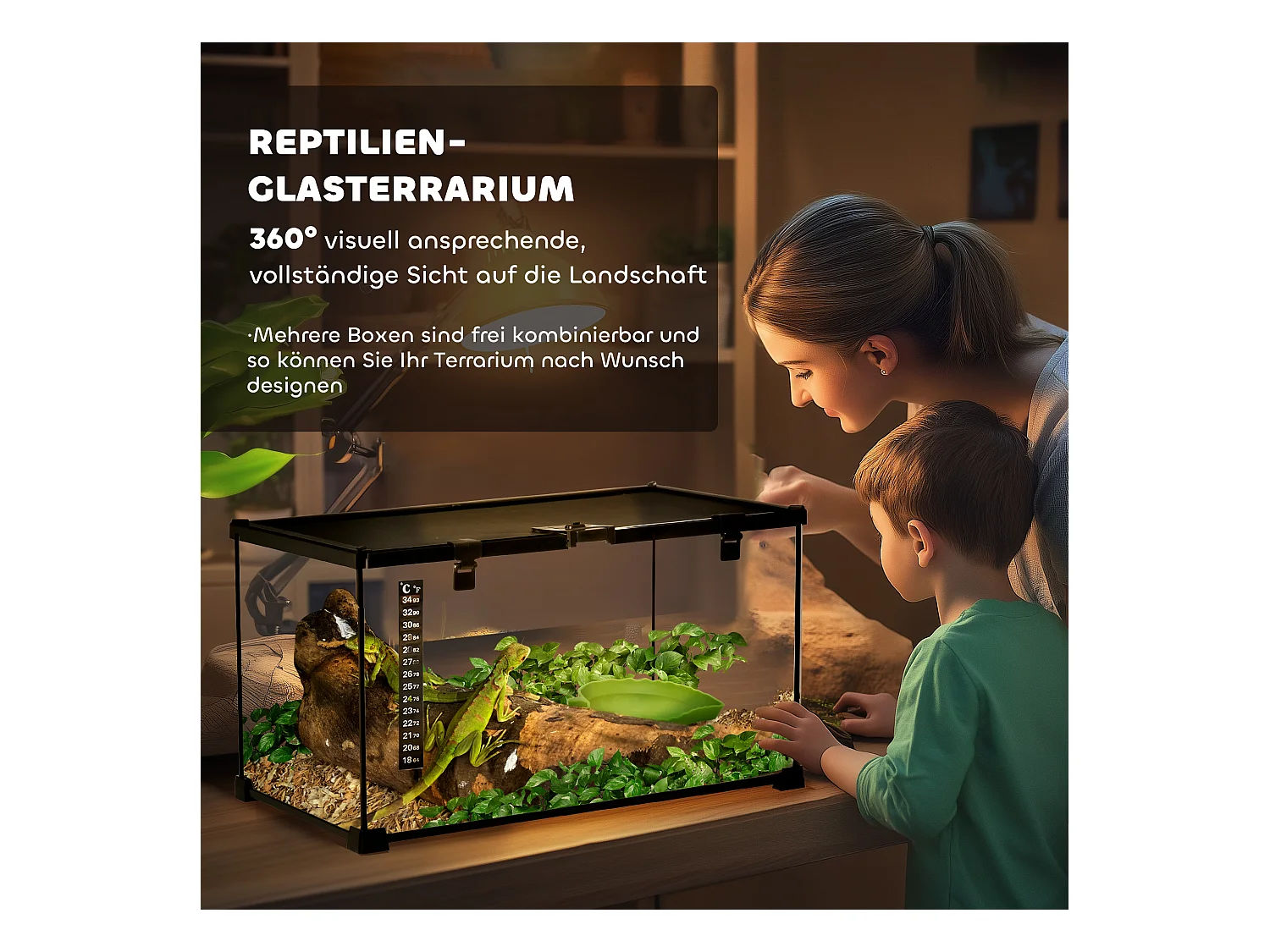 Terrarium pour reptiles avec thermomètre, aération optimale, acier et verre, noir (50x30x25 cm)