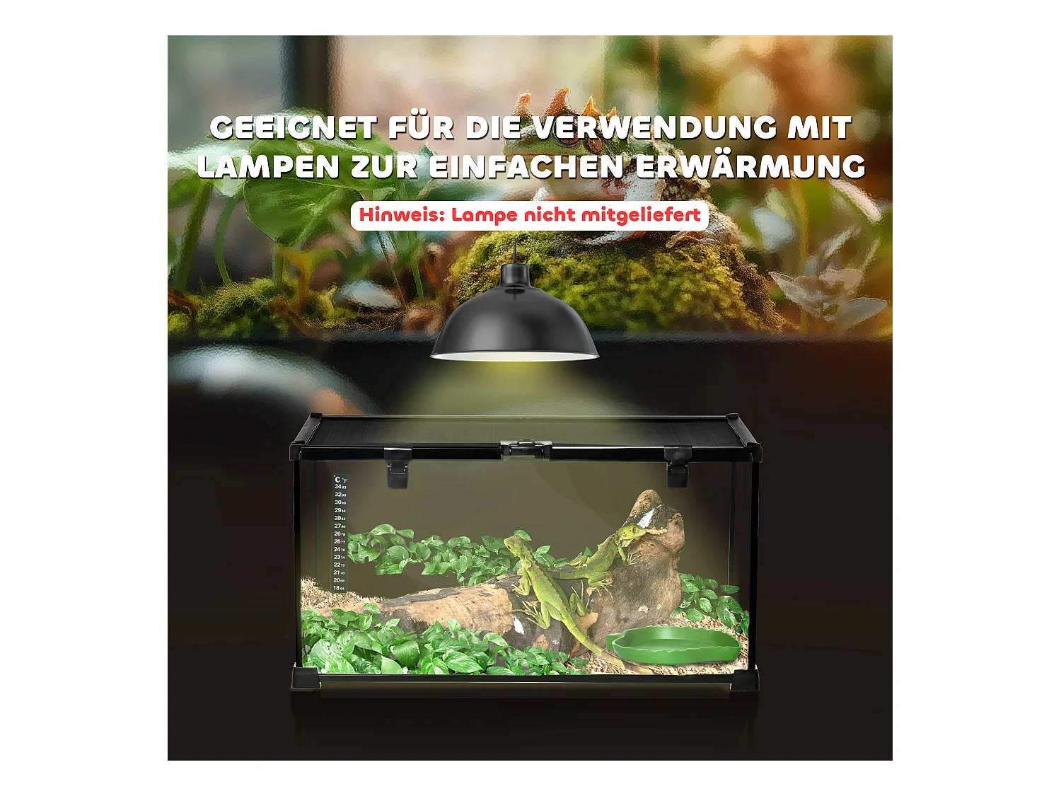 Terrarium pour reptiles avec thermomètre, aération optimale, acier et verre, noir (50x30x25 cm)