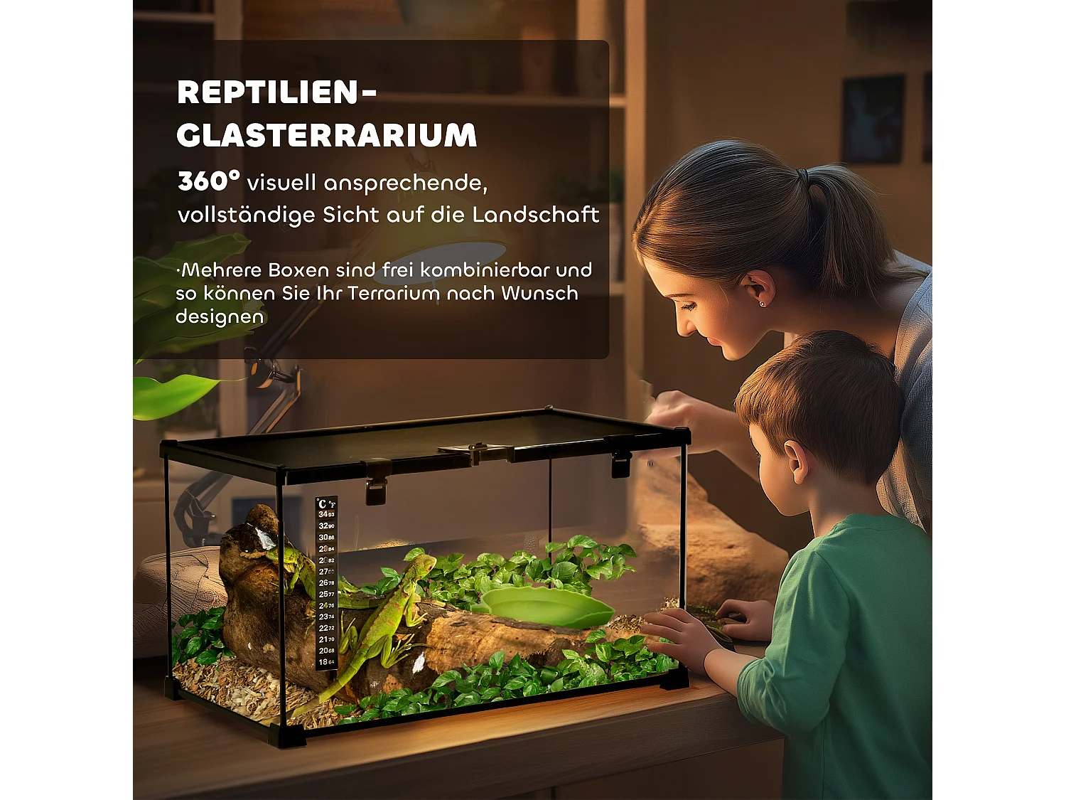 Terrarium pour reptiles avec thermomètre, aération optimale, acier et verre, noir (50x30x25 cm)