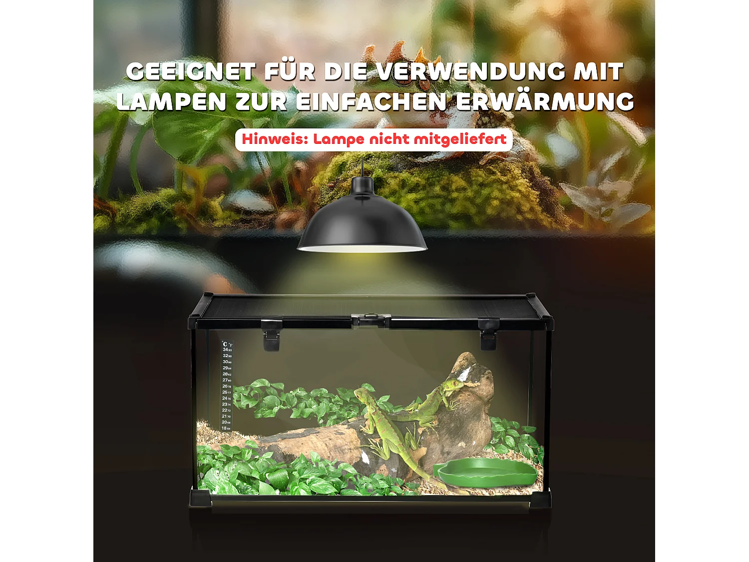 Terrarium pour reptiles avec thermomètre, aération optimale, acier et verre, noir (50x30x25 cm)