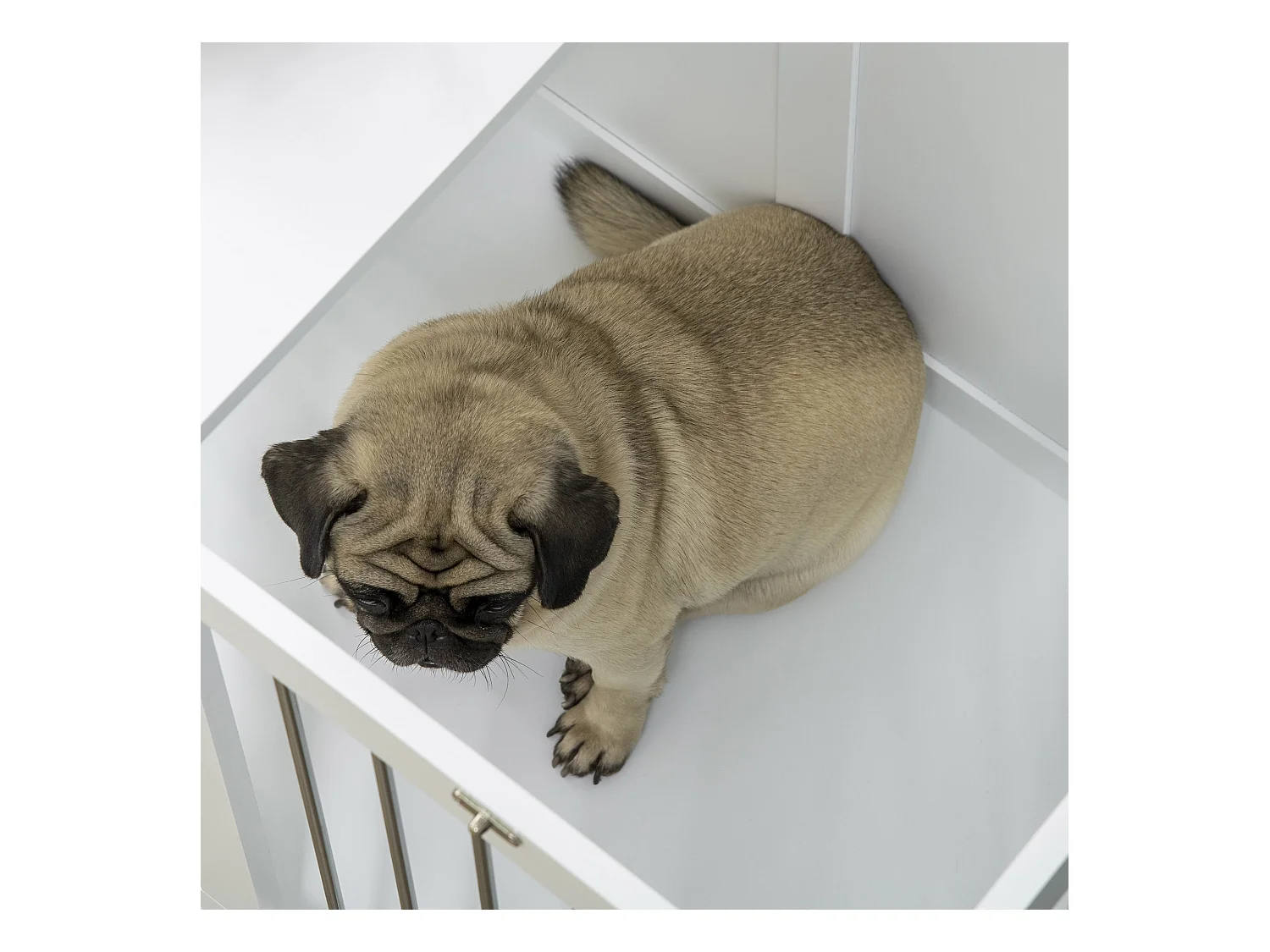 Cage pour chien à portes et fonction transport, design moderne, bois et métal, blanc (80x50x56.5cm)