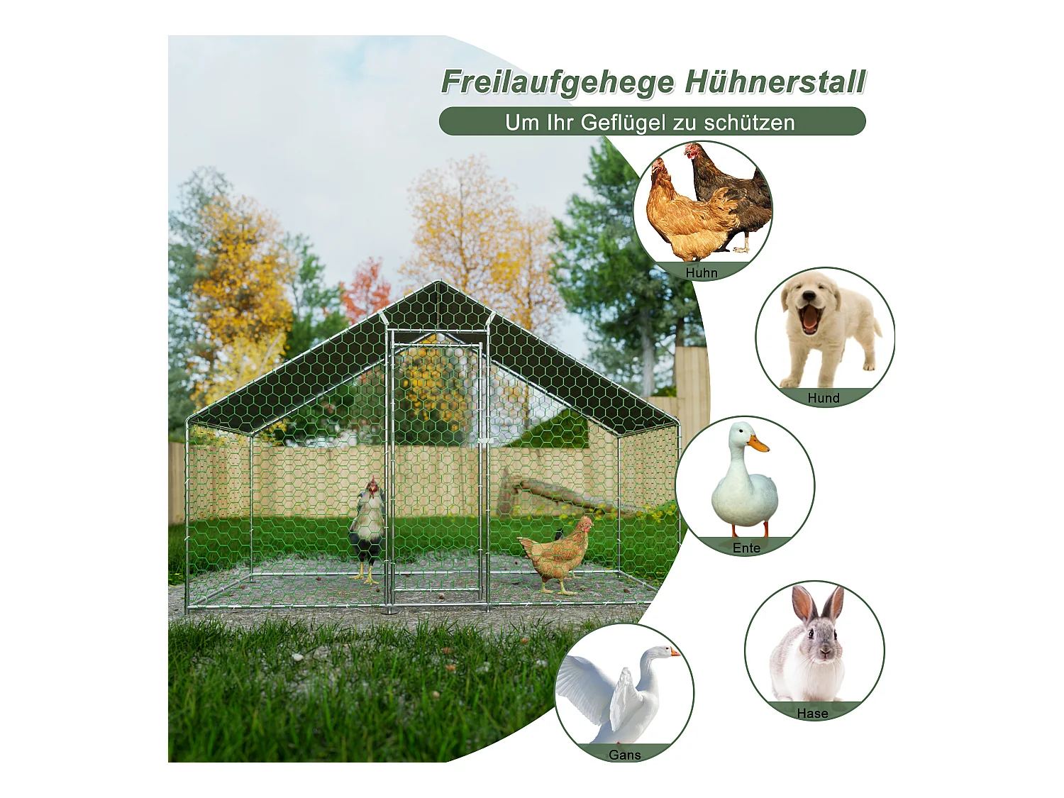 Enclos extérieur pour volailles et petits animaux, métal galvanisé, toiture PE imperméable, avec serrure de sécurité (300x150x200cm)