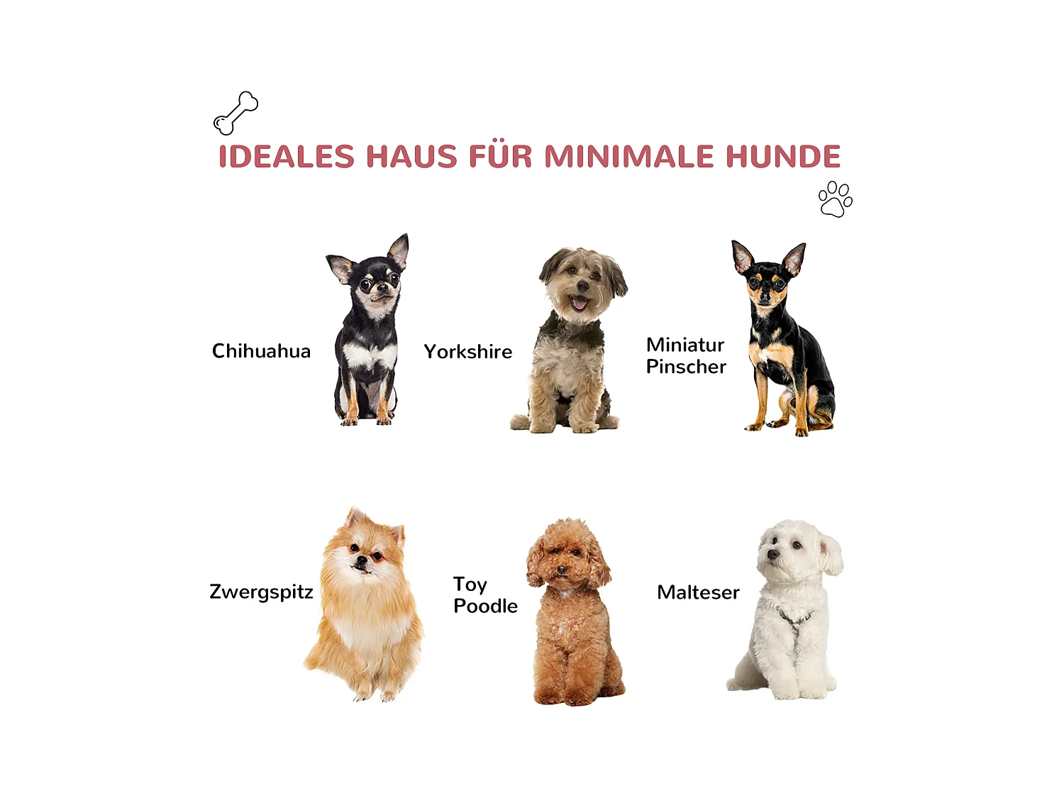 Cabane pour chien extérieure avec lucarne et porte, plastique résistant, rouge, design classique (59x75x66cm)