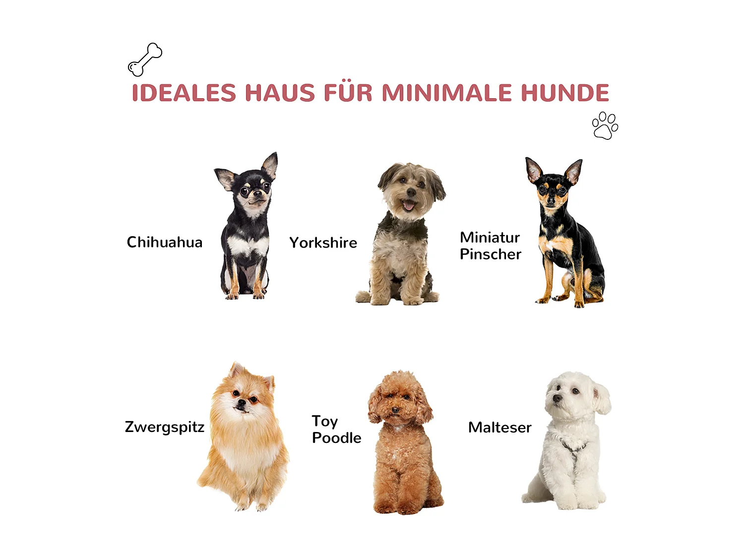 Cabane pour chien extérieure avec lucarne et porte, plastique résistant, rouge, design classique (59x75x66cm)