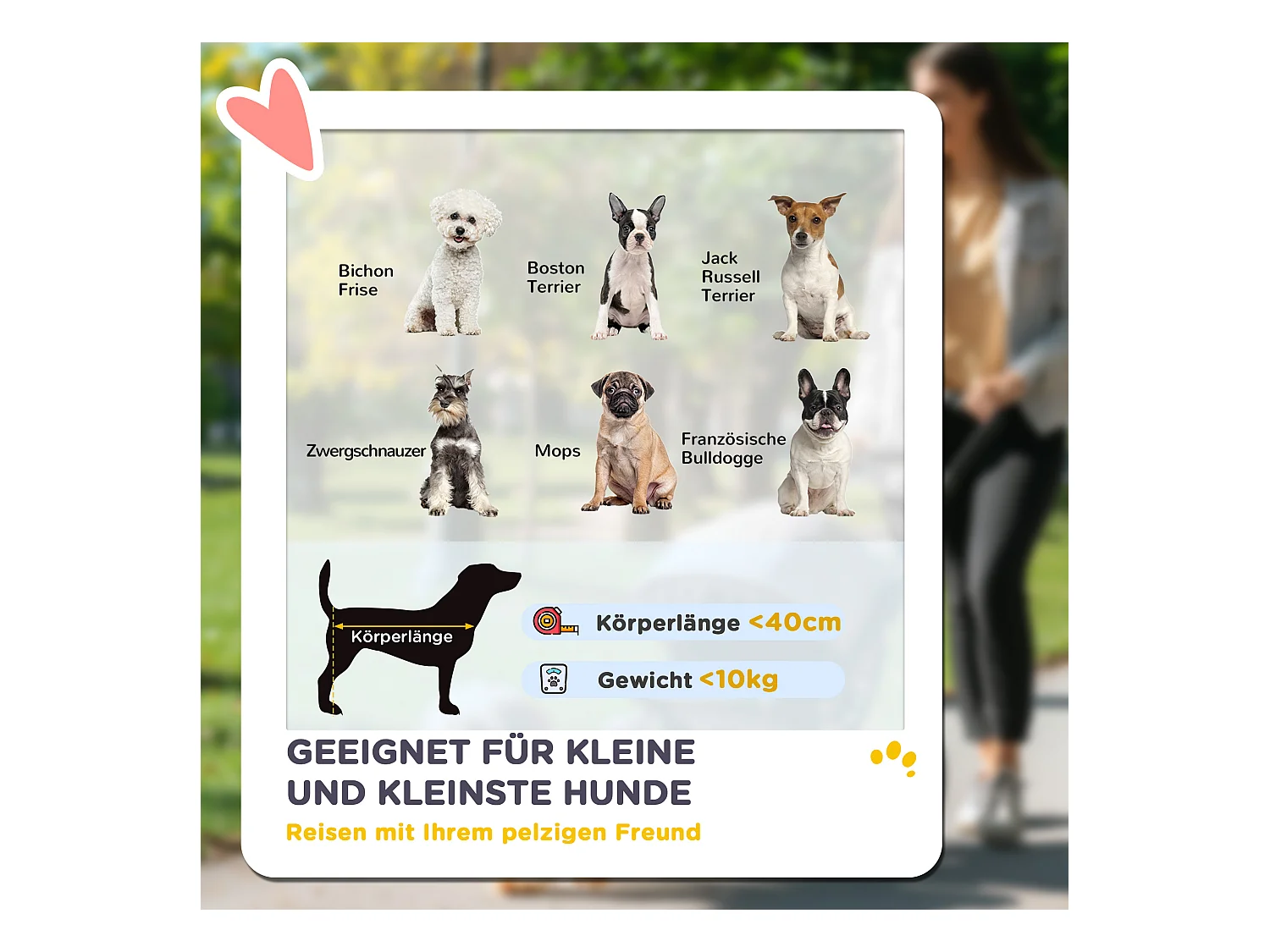 Chariot pliable pour chien et chat, léger en aluminium, avec coussin et panier de rangement, gris (80x48.5x106 cm)