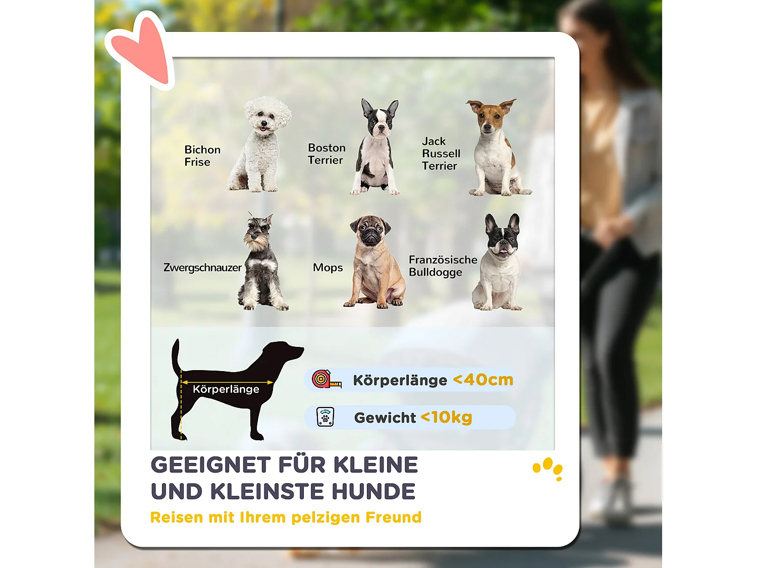 Chariot pliable pour chien et chat, léger en aluminium, avec coussin et panier de rangement, gris (80x48.5x106 cm)