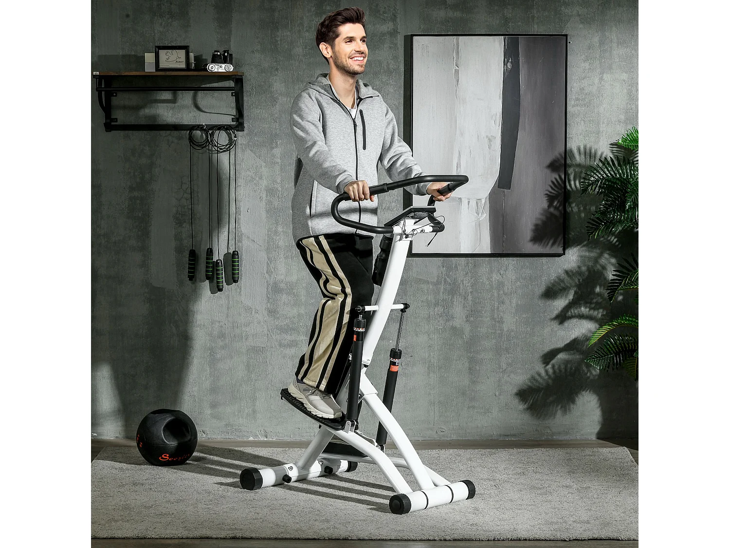 Stepper avec poignées, 12 niveaux de résistance, acier, noir et argent (80x61x134 cm)