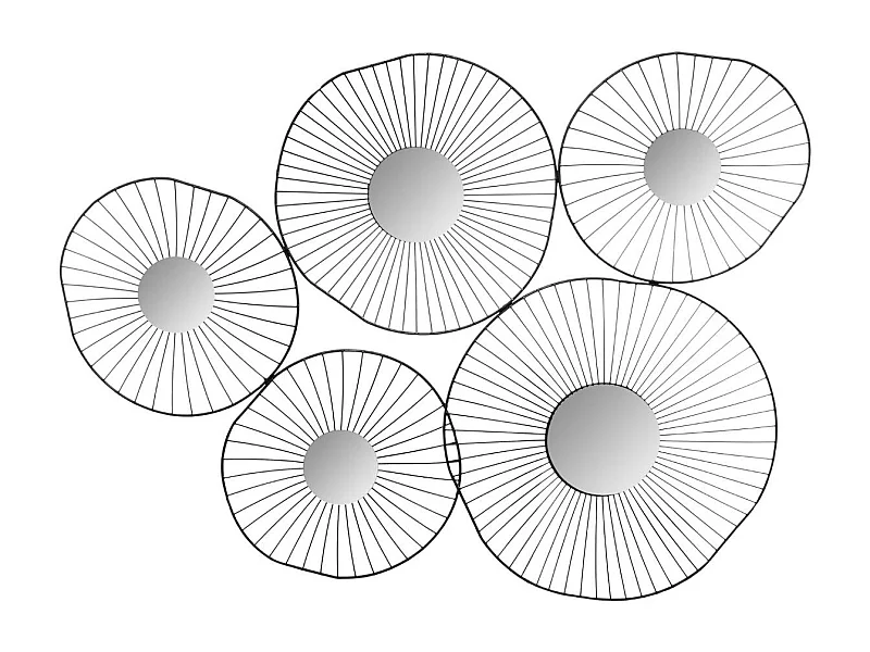 Décoration murale  5 Miroirs en Métal Noir 78 x 58 cm