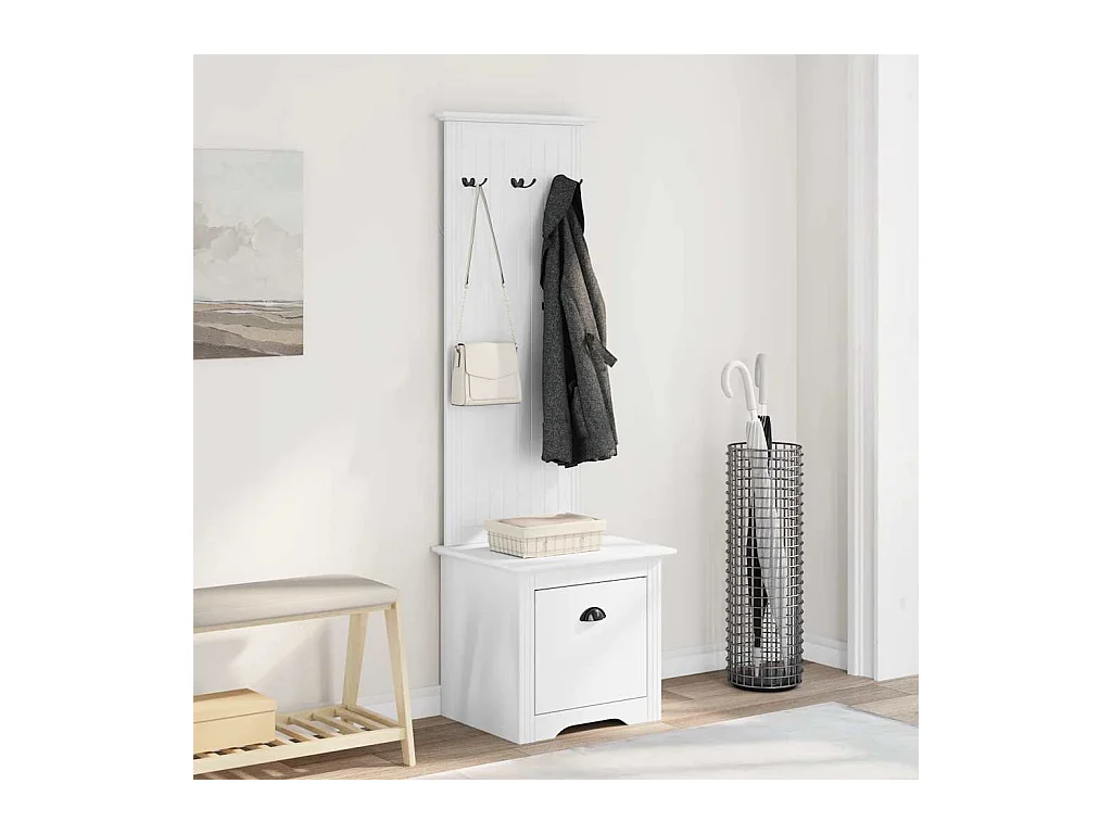 Armoire de couloir avec crochets BODO blanc 50x40x157 cm