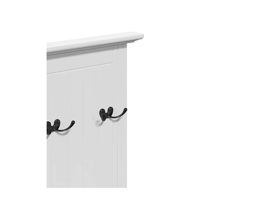 Armoire de couloir avec crochets BODO blanc 50x40x157 cm