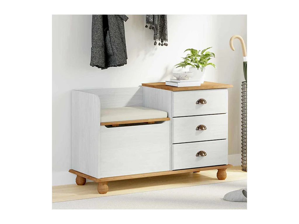 Banc de rangement pour l'entrée Blanc 100 x 39 x 62 cm