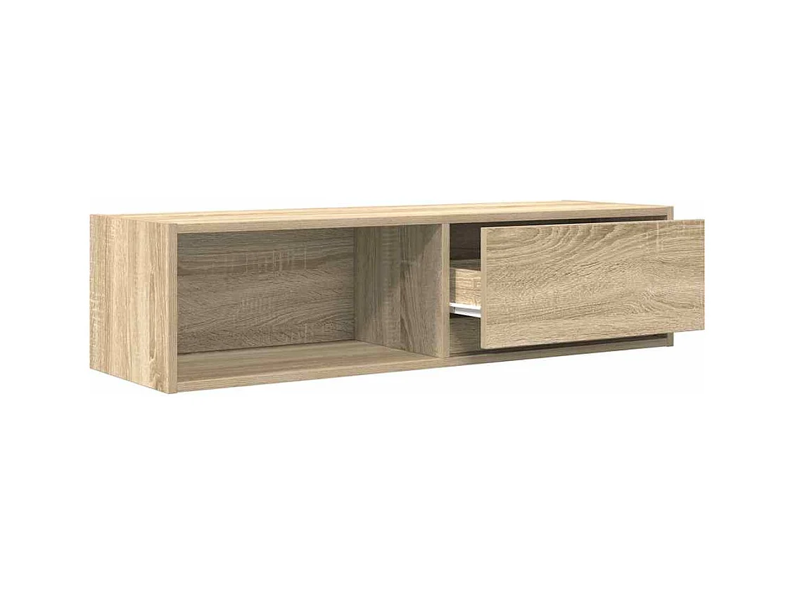Meuble TV chêne sonoma 100x31x25,5 cm bois d'ingénierie