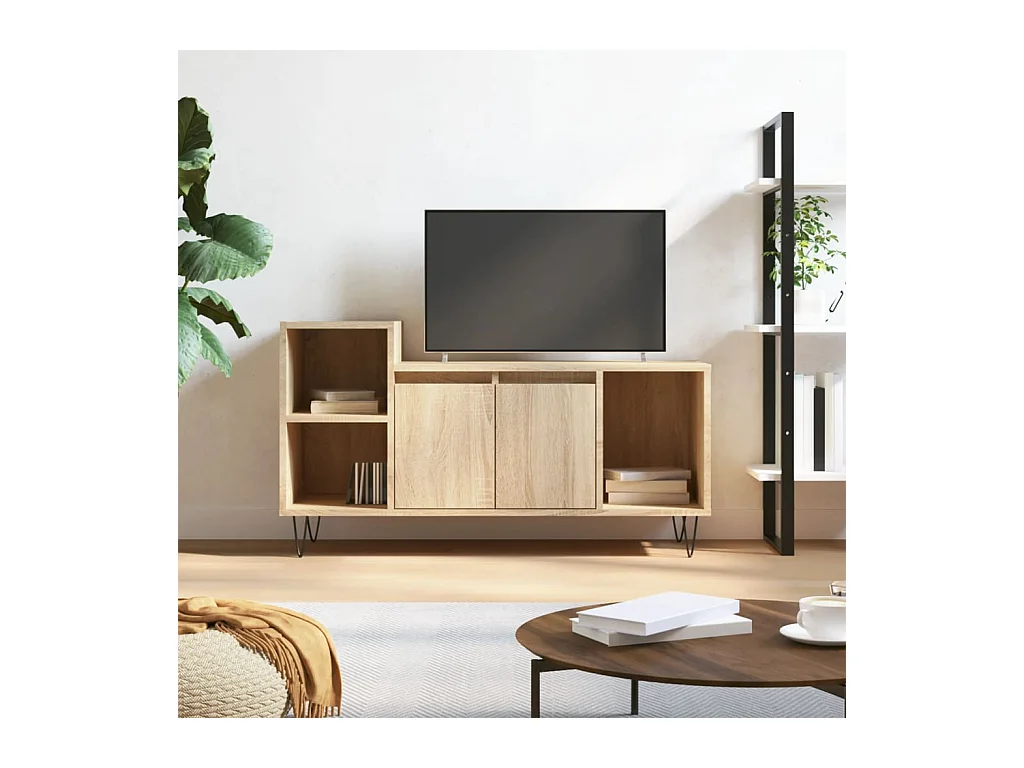 Meuble TV Chêne sonoma 100x35x55 cm Bois d'ingénierie