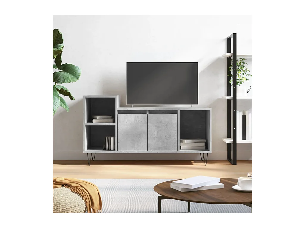 Betongrauer TV-Schrank 100 x 35 x 55 cm Holzwerkstoff