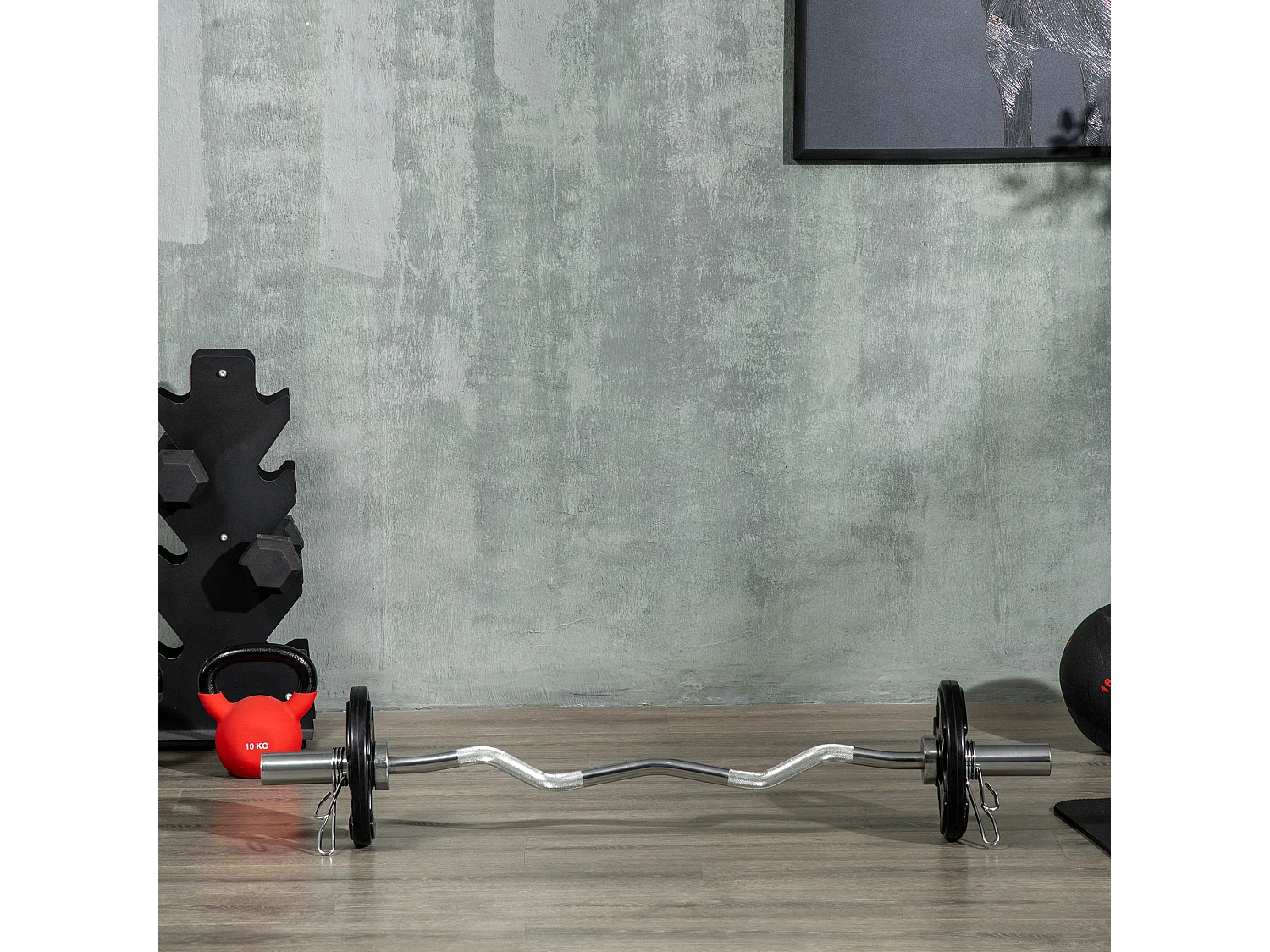 Disques de Haltérophilie 2 x 10 KG, Tri-Grip, Gomme, Acier, Noir (32x32x4 cm)