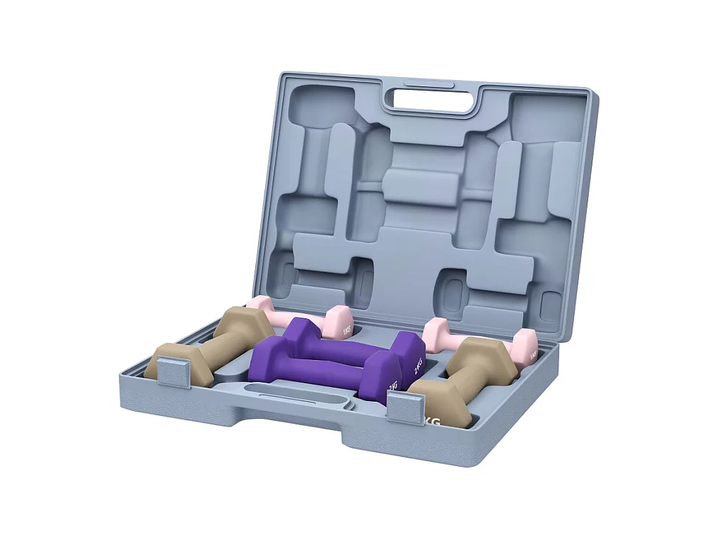 Set d'haltères courts en acier, 6 pièces avec poids de 1kg, 2kg et 3kg, revêtement en plastique, rose (41x30x8 cm)