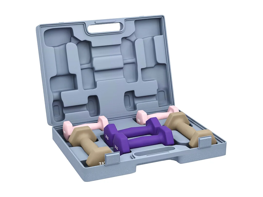 Set d'haltères courts en acier, 6 pièces avec poids de 1kg, 2kg et 3kg, revêtement en plastique, rose (41x30x8 cm)