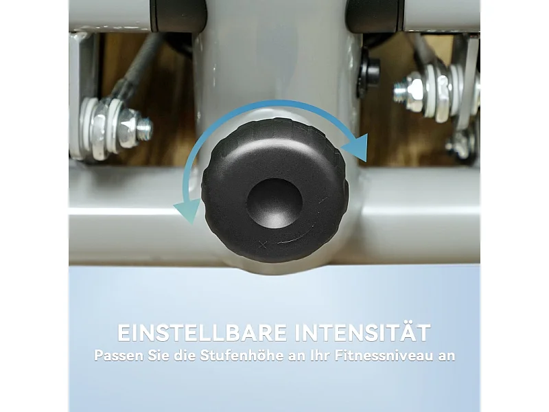 Mini-stepper 2 en 1 avec cordes de résistance, LCD et mouvement oscillant, plastique, gris (41x30.5x18.5 cm)